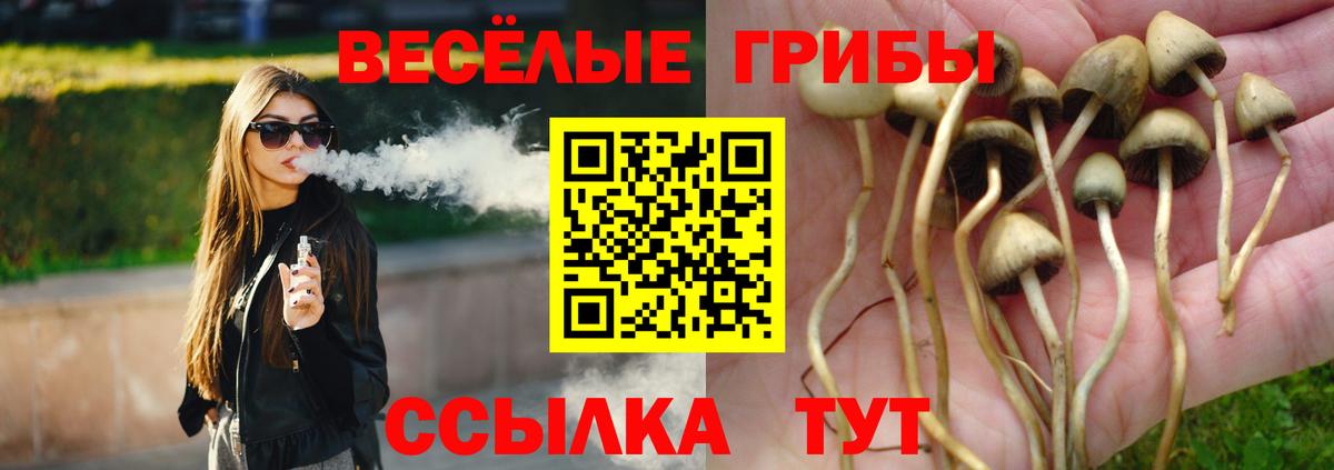 Снежинск  Галлюциногенные грибы Cubensis  Вход с VPN 